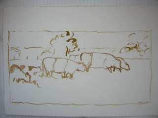 belted galloways drawing