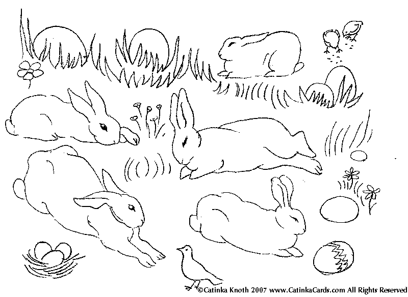Pictures Of Bunnies To Color. Rabbits to Draw or Color