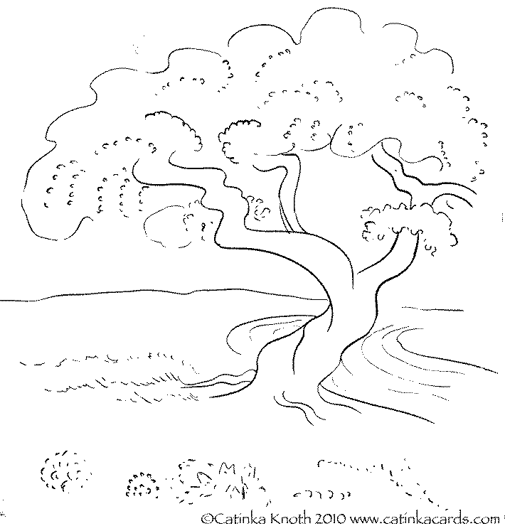 Cherry Blossom Tree demonstration drawing