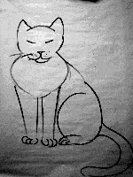 demonstration drawing of cat