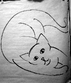 demonstration drawing of cat