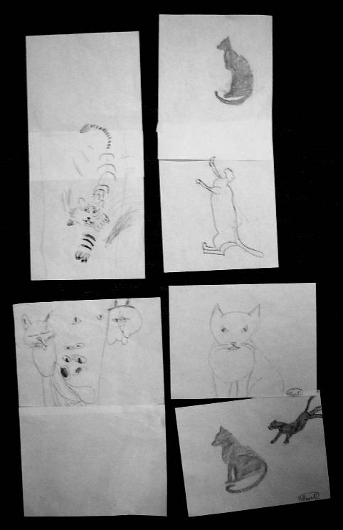 kids' cat drawings