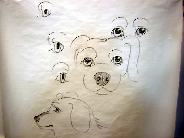 how to draw cartoon dog face. How To Draw Dog Eyes