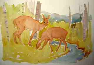 watercolor of whitetail deer