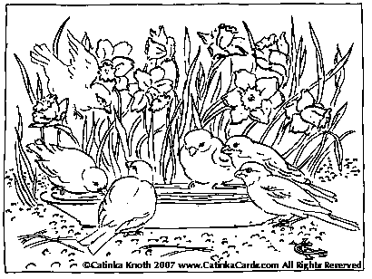 daffodils and birds ink drawing