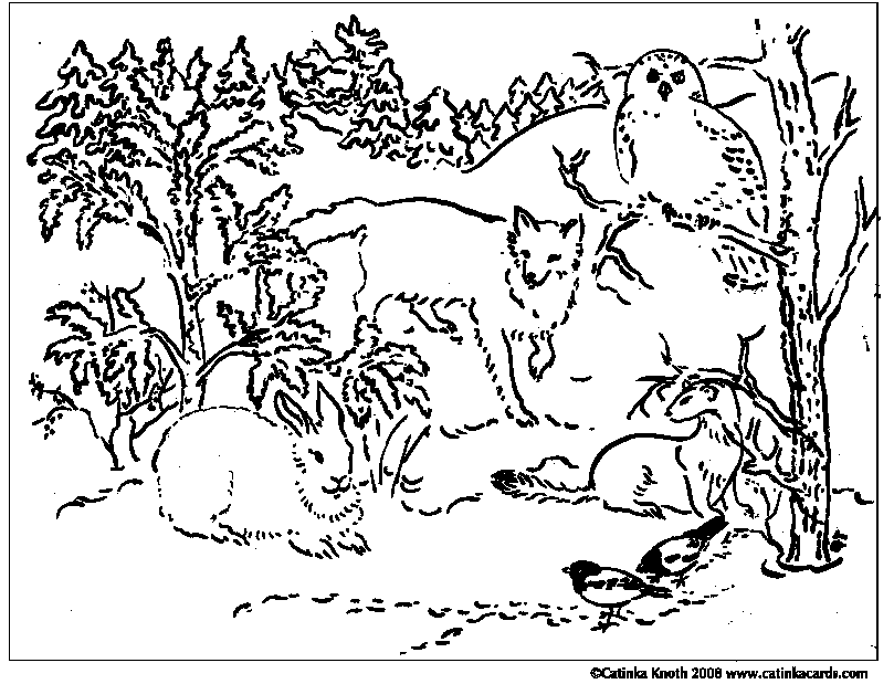winter animals drawing