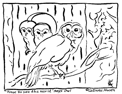 owl coloring page