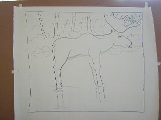 moose drawing