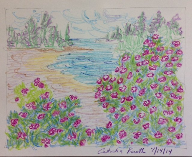 beach roses scene  crayon drawing by Catinka Knoth