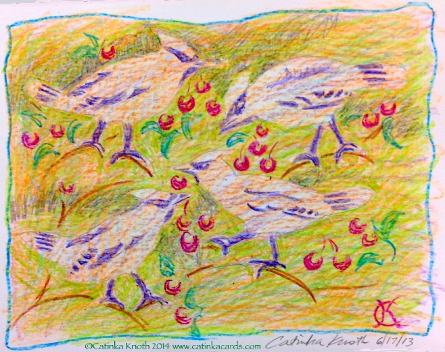 cedar waxwings crayon drawing, 2013 Catinka Knoth