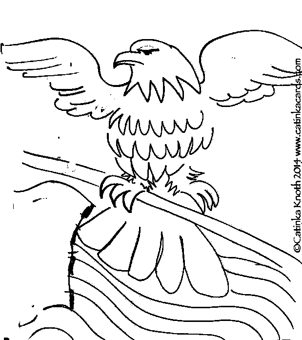 Memorial Day Eagle with Staff demo drawing by Catinka Knoth