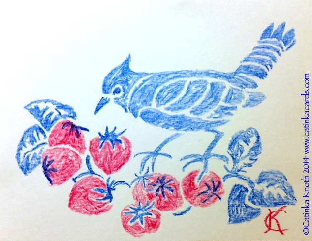 bluejay and strawberries, red white and blue crayon drawing, 2013 Catinka Knoth