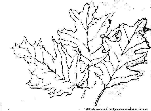 Fall Leaves line drawing by Catinka Knoth