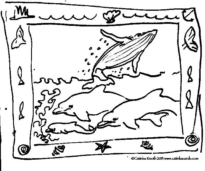 marine mammals whales drawing demo