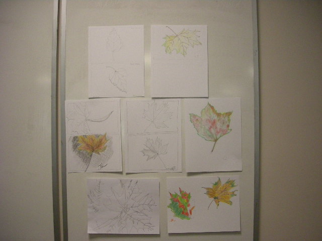 fall leaves drawings