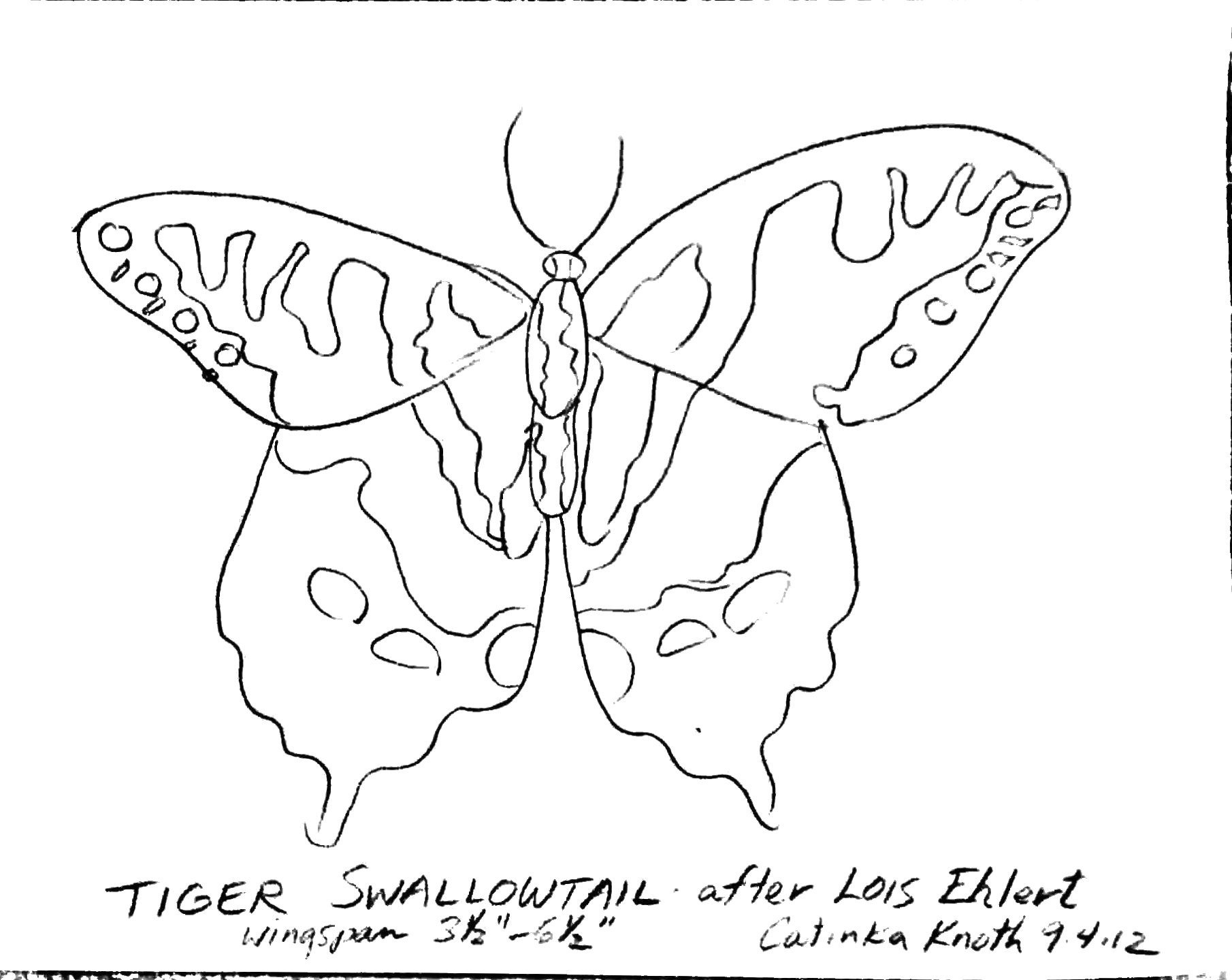 September themes drawing demo 1 swallowtail butterfly