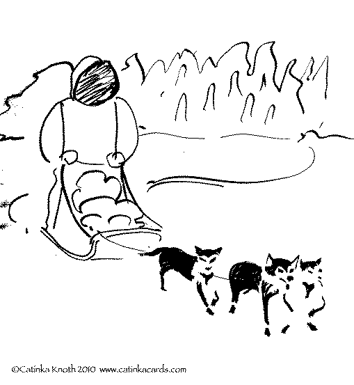 Dog sled team drawing