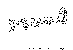 dogsled team line drawing