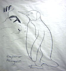 penguin art