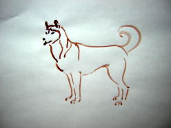 husky line drawing