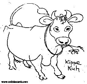 cow drawing by Catinka Knoth