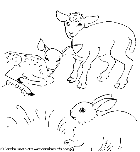 drawings for april art - baby animals