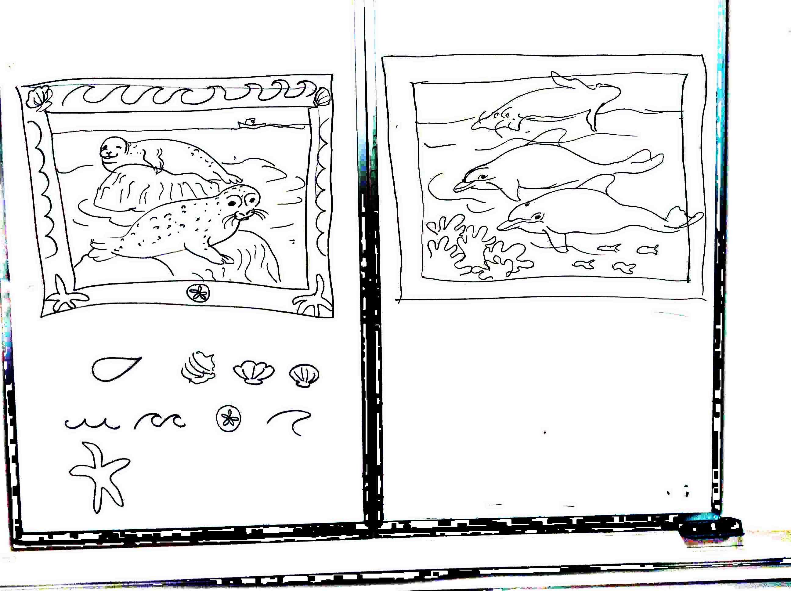 marine mammals demonstration drawings