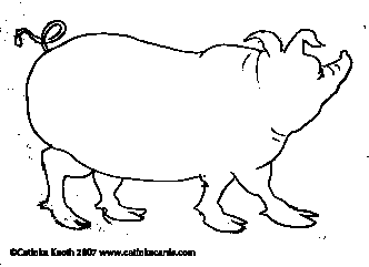 pig drawing by Catinka Knoth