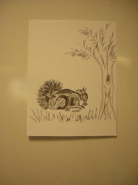 squirrel drawing by adult student
