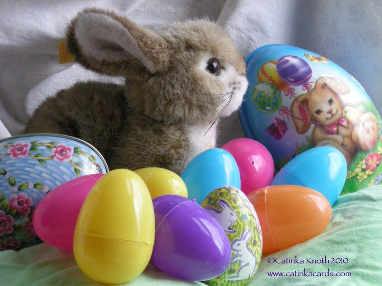 steiff bunny with easter eggs photo