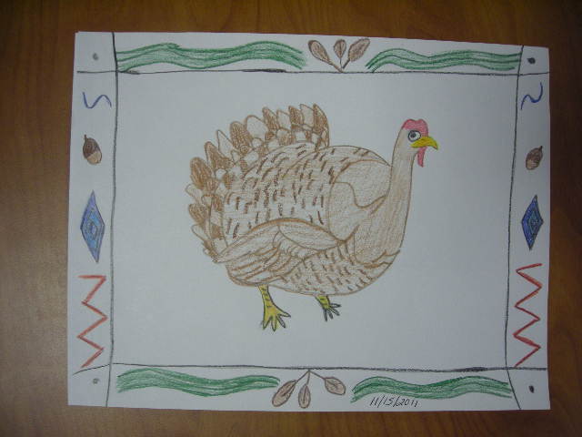 Adult turkey drawing